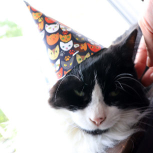 Chapeaux De Fètes Fête du chat
