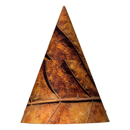 Chapeaux De Fètes Feuille sèche : arrière - plan de texture naturell (Devant)