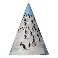 Gentoo Penguin Antarctica Iceberg Playtime