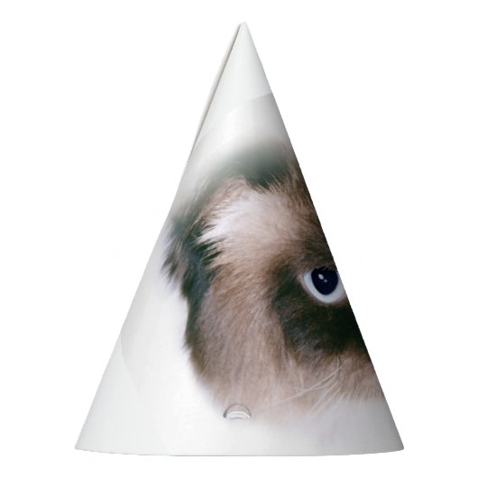 Chapeaux De Fètes Grumpy Cat (Gauche)