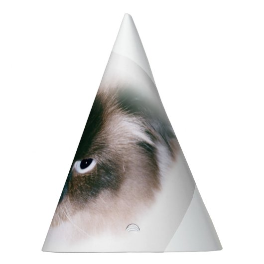 Chapeaux De Fètes Grumpy Cat (Droite)