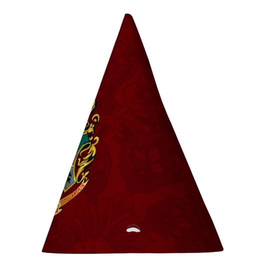 Chapeaux De Fètes Harry Potter | CIMIER DE POUDLARD (Droite)