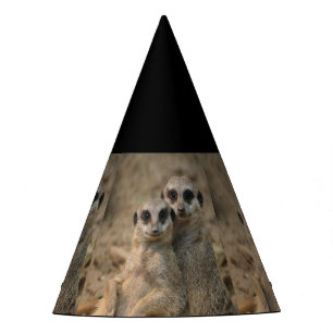 Chapeaux De Fètes Meerkat_20170901_by_JAMFoto