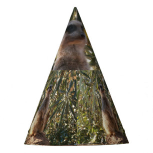 Chapeaux De Fètes Meerkat En Garde, Casquette Du Parti