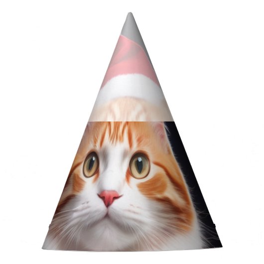 Chapeaux De Fètes Meowy (Devant)