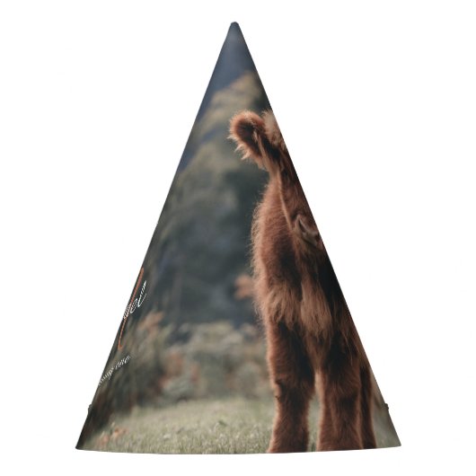 Chapeaux De Fètes Monographie de veau de vache Highland premier anni (Devant)