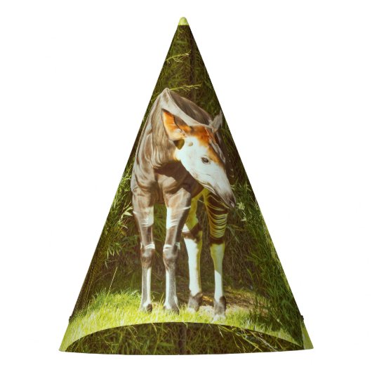 Chapeaux De Fètes okapi (Devant)