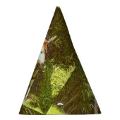 Chapeaux De Fètes okapi (Droite)