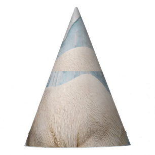 Chapeaux De Fètes Ours polaire : Zoo Habitat Aperçu