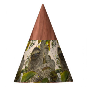 Chapeaux De Fètes Paresse