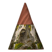Chapeaux De Fètes Paresse (Droite)