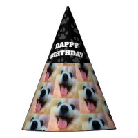 Photo personnalisée du chien Casquette de fête d'a
