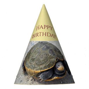 Chapeaux De Fètes Photo Turtle
