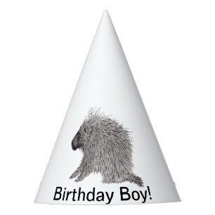 Chapeaux De Fètes Porcupine