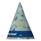 Chapeaux De Fètes Puppée Party, bleu et vert (Droite)