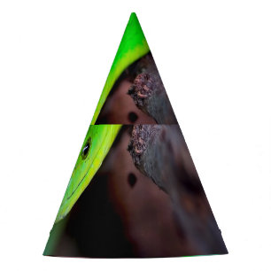 Chapeaux De Fètes Python de serpent vert