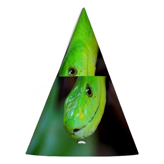 Chapeaux De Fètes Python de serpent vert (Gauche)