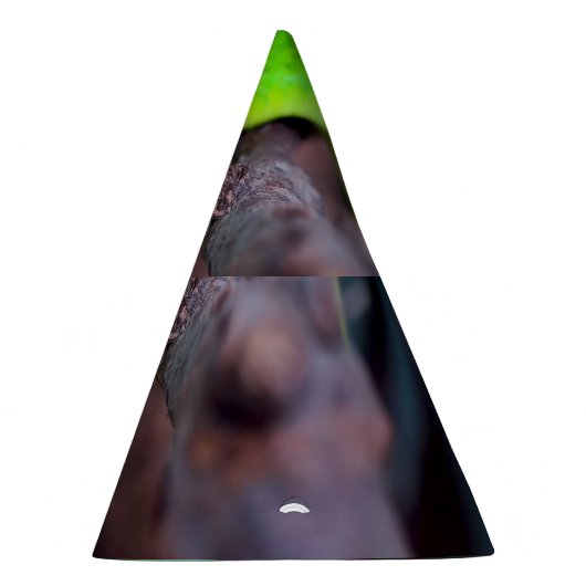 Chapeaux De Fètes Python de serpent vert (Droite)