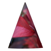 Chapeaux De Fètes Rouge d'automne (Devant)