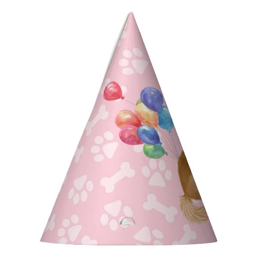 Chapeaux De Fètes Ruby Cavalier King Charles Spaniel Anniversaire  (Gauche)