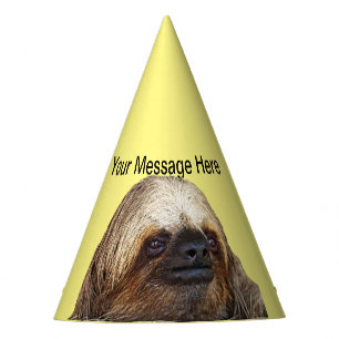 Chapeaux De Fètes Sloth