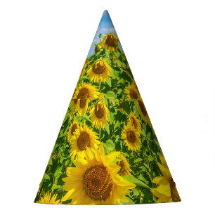 Chapeaux De Fètes Terrain de tournesol, ensoleillé l'été.
