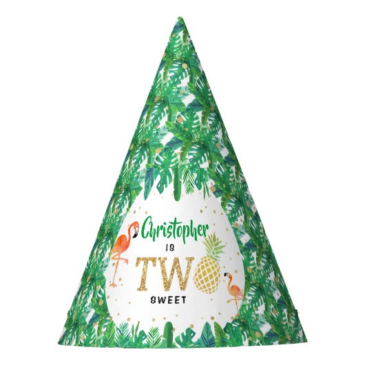 Chapeaux De Fètes Tropical Summer Beach Luau Boys 2e anniversaire (Devant)