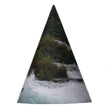 Visite touristique des chutes du Niagara