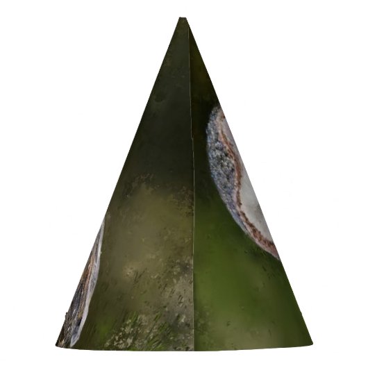 Chapeaux De Fètes Western Barn Owl Party Casquette - Peinture (Dos)