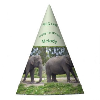Chapeaux De Fètes Wild One Elephant Birthday Cone Design