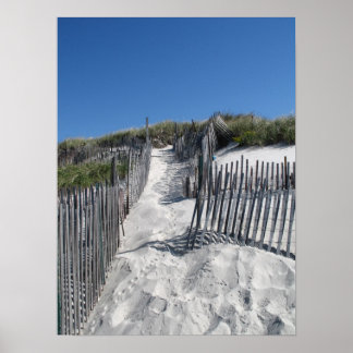 Chapin Beach Cape Poster