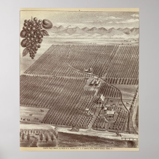 Chapin Fruit Ranch Poster (Voorkant)