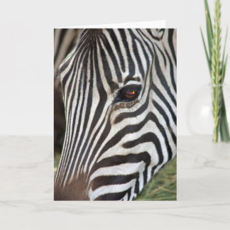 Chapman Gestreepte Kaart