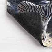 Chapman's zebra's muismat (Hoek)