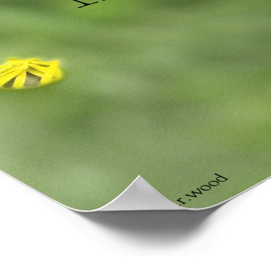 Chaque expérience vous fait grandir Poster (Coin)