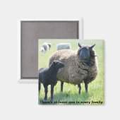 Chaque famille a un aimant de mouton noir (Recto/Verso)
