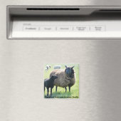 Chaque famille a un aimant de mouton noir (In Situ (Lave-vaisselle))