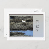 Chaque printemps, carte postale de Haiku (Devant / Derrière)