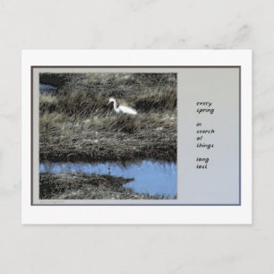 Chaque printemps, carte postale de Haiku
