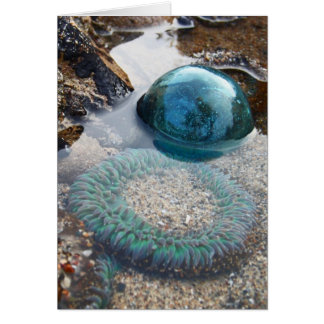 Char en verre et anémone