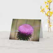 Chardon, carte (Fleur jaune)