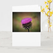 Chardon, carte (Fleur jaune)