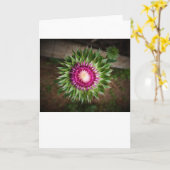 Chardon, carte (Fleur jaune)