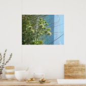 chardon des dunes poster (Keuken)