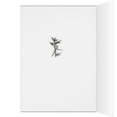 Chardon, vide (Intérieur (Gauche))