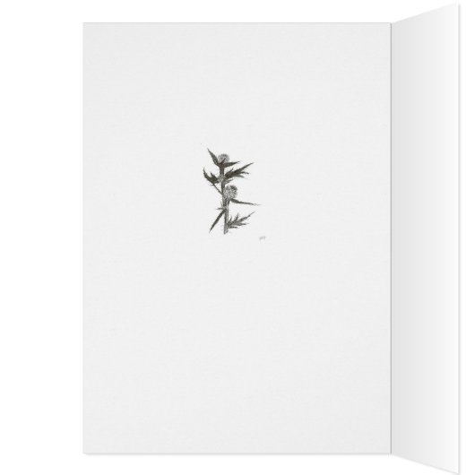 Chardon, vide (Intérieur (Gauche))