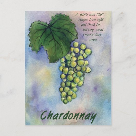 Chardonnay Wine Grapes & Description Briefkaart (Voorkant)