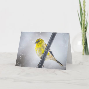 Chardonneret élégant dans la neige Carte de Noël p