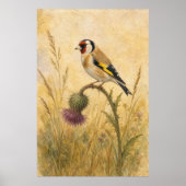 Chardonneret sur une affiche aquarelle chardon (Devant)