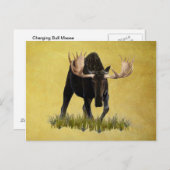 Charge Bull Moose Briefkaart (Voorkant / Achterkant)